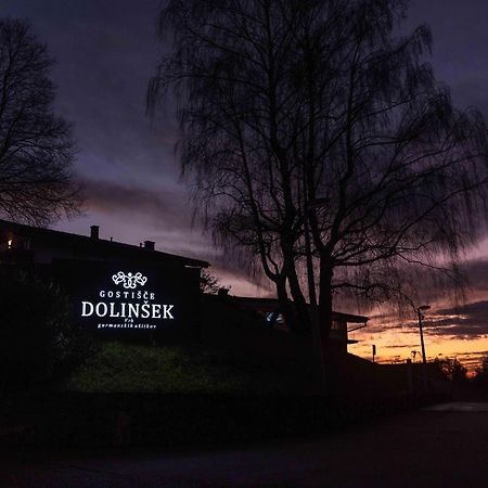 Guesthouse Dolinsek Sevnica Экстерьер фото