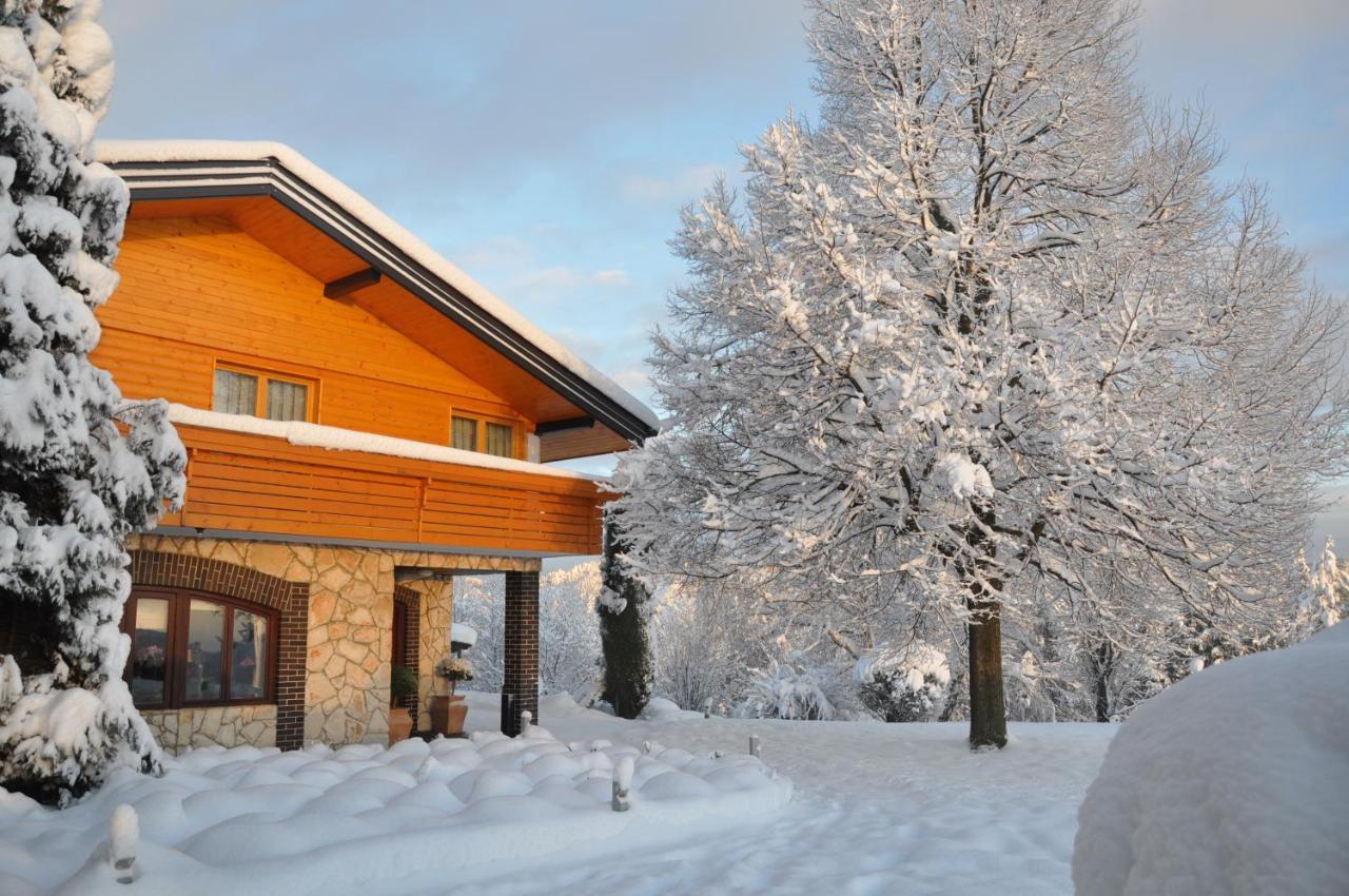 Guesthouse Dolinsek Sevnica Экстерьер фото