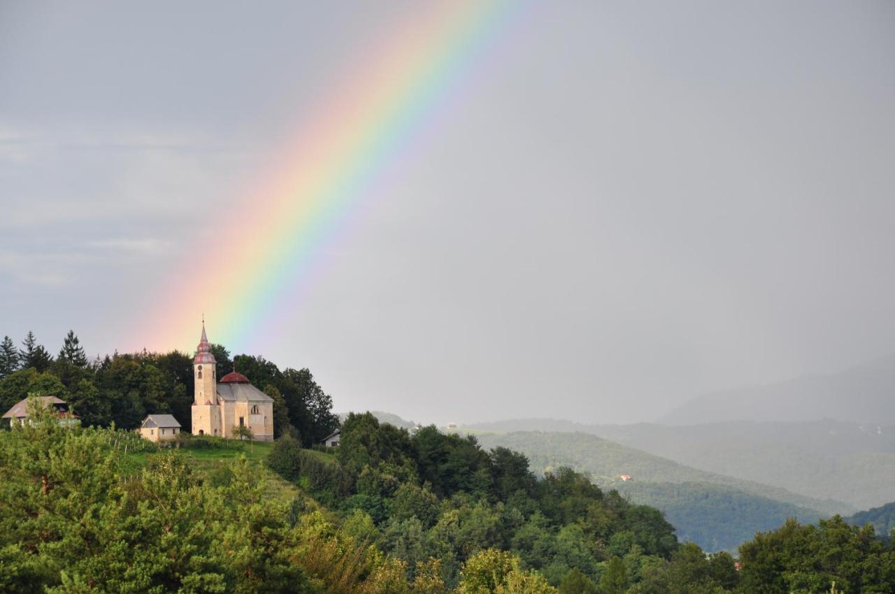 Guesthouse Dolinsek Sevnica Экстерьер фото