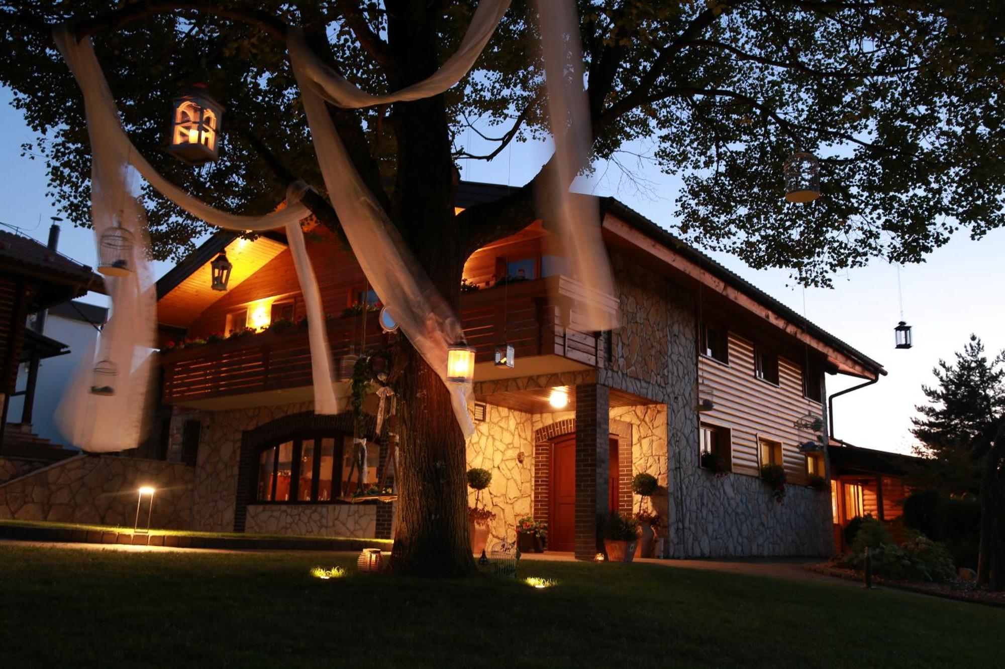 Guesthouse Dolinsek Sevnica Экстерьер фото