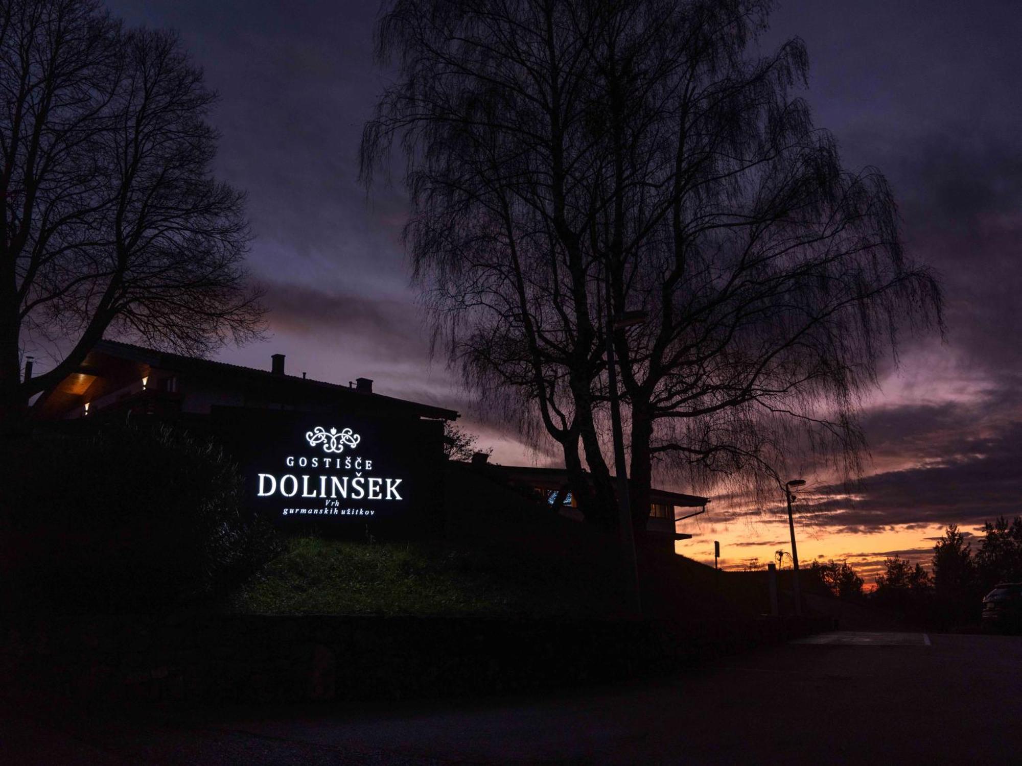 Guesthouse Dolinsek Sevnica Экстерьер фото
